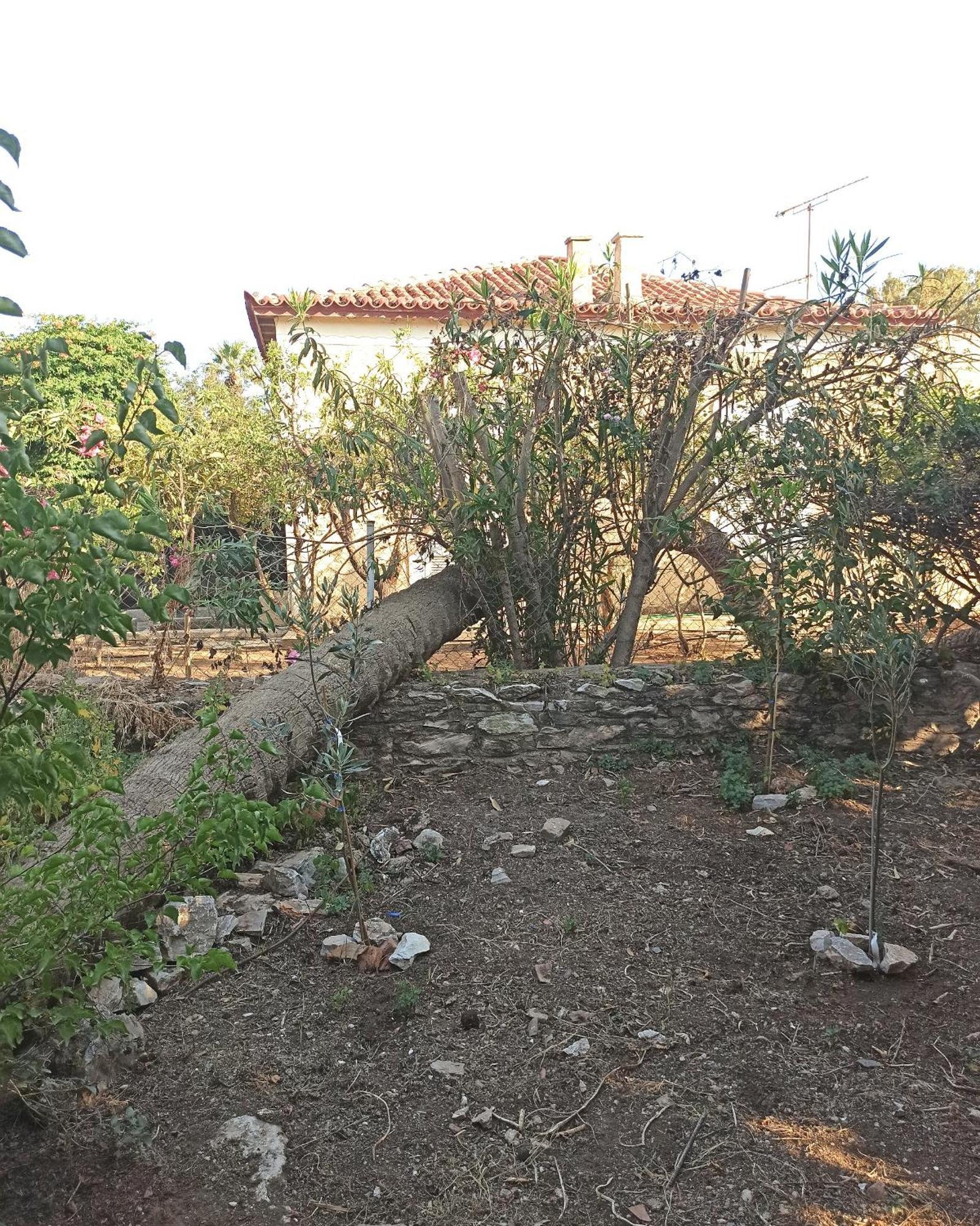 1895 Garden House Villa Lávrion Dış mekan fotoğraf