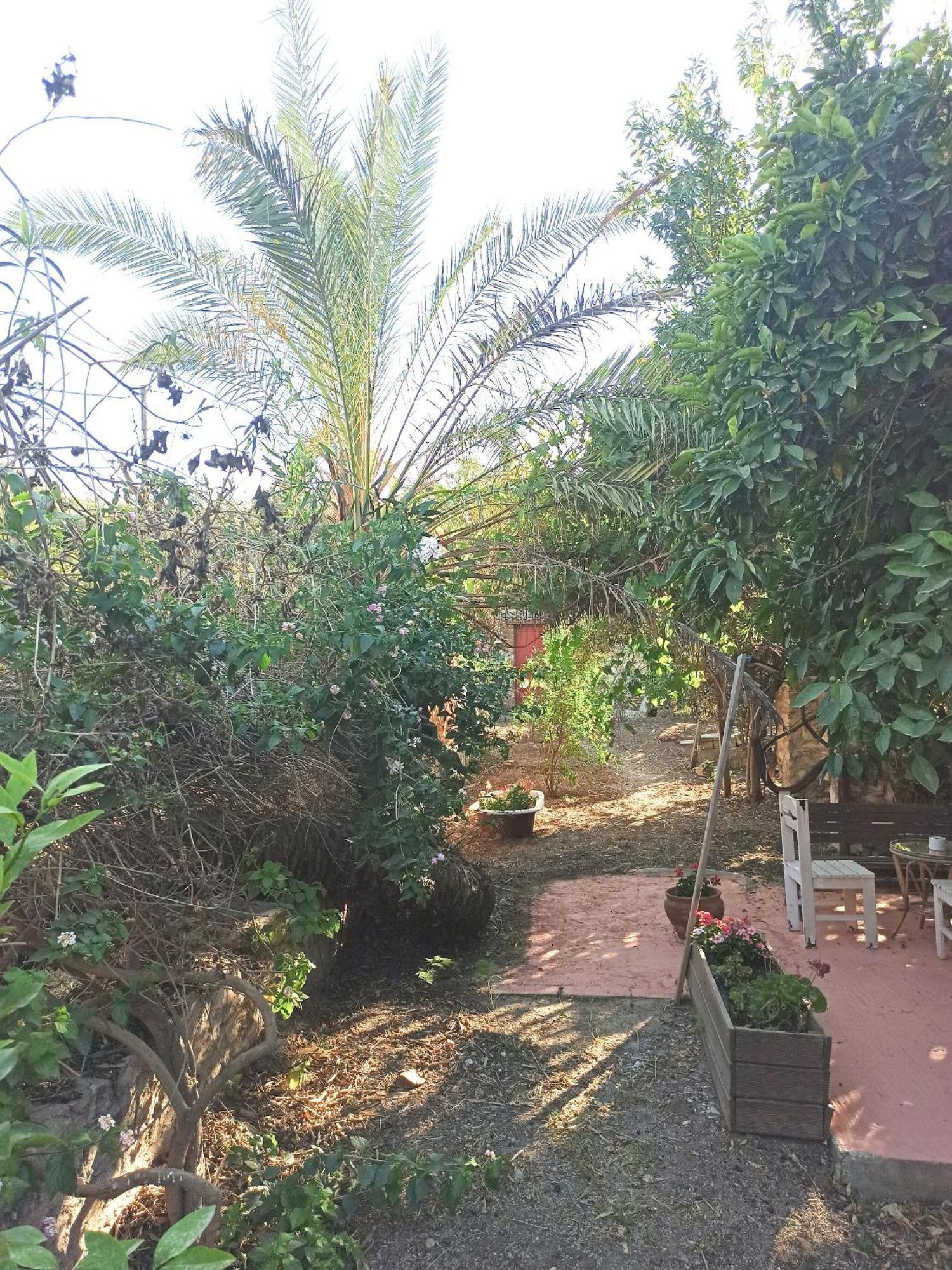 1895 Garden House Villa Lávrion Dış mekan fotoğraf